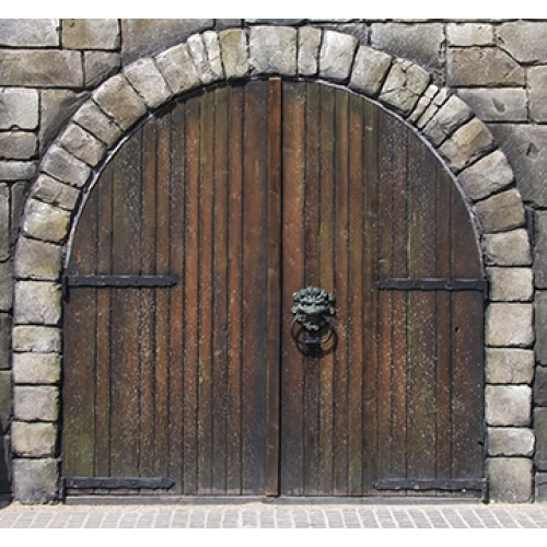 Medieval Door Cardboard Cutout Free Shipping